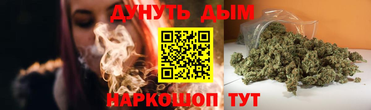 Каннабис планчик Похвистнево
